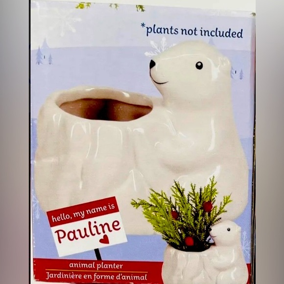Pauline the Polar Bear Ceramic Mini Animal Succulent Planter - Picture 1 of 1